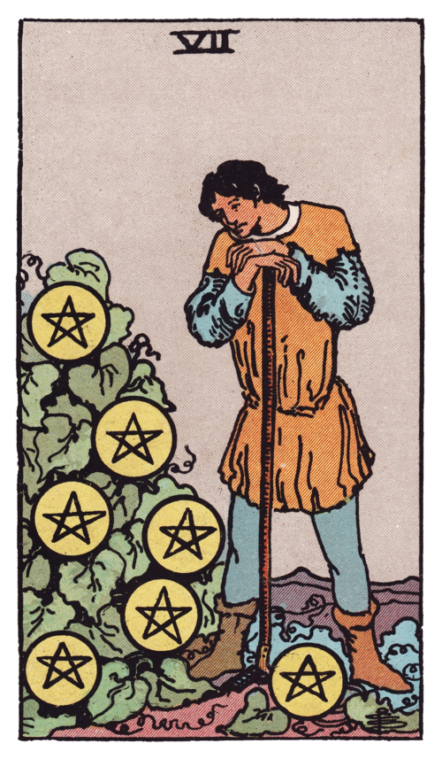 Seven of Pentacles Tarot Card
